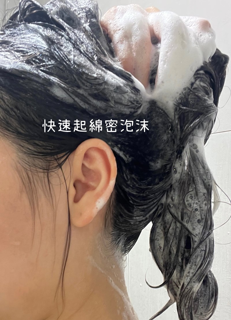 試用